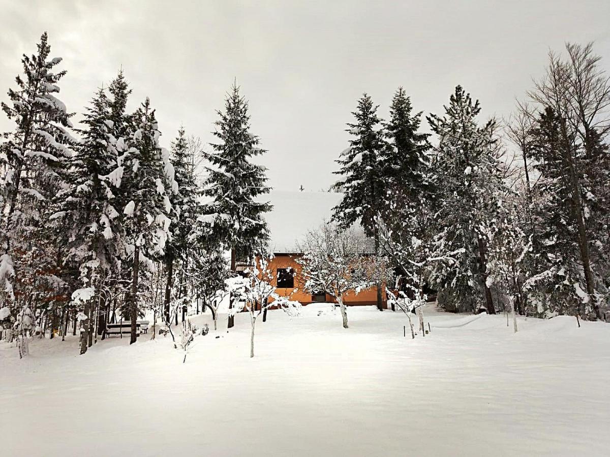 Dren - Banjska Stena Mitrovac Exterior photo